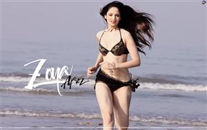 Zoya Afroz